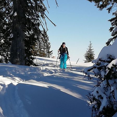 Pension Kasbergblick Scharnstein ภายนอก รูปภาพ