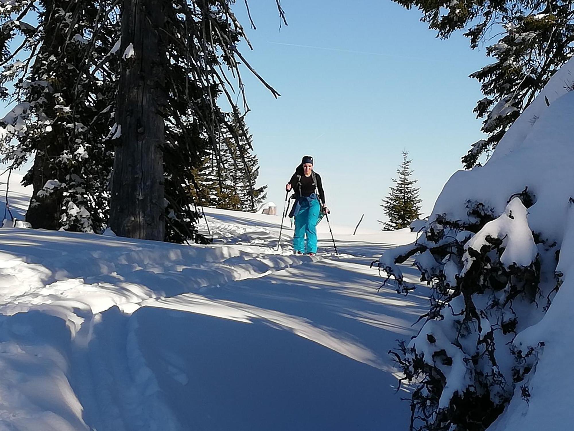 Pension Kasbergblick Scharnstein ภายนอก รูปภาพ